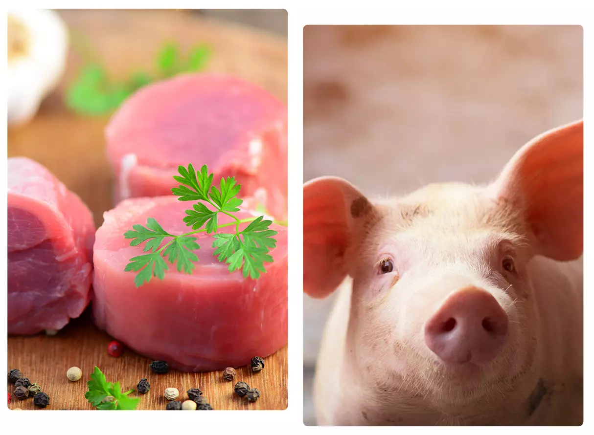 Viande porcine Veyrac, Viande porcine Limoges, Viande porcine Saint-Junien